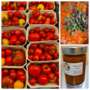 Heinzlgrün im Deutschlandfunk über alte Tomatensorten