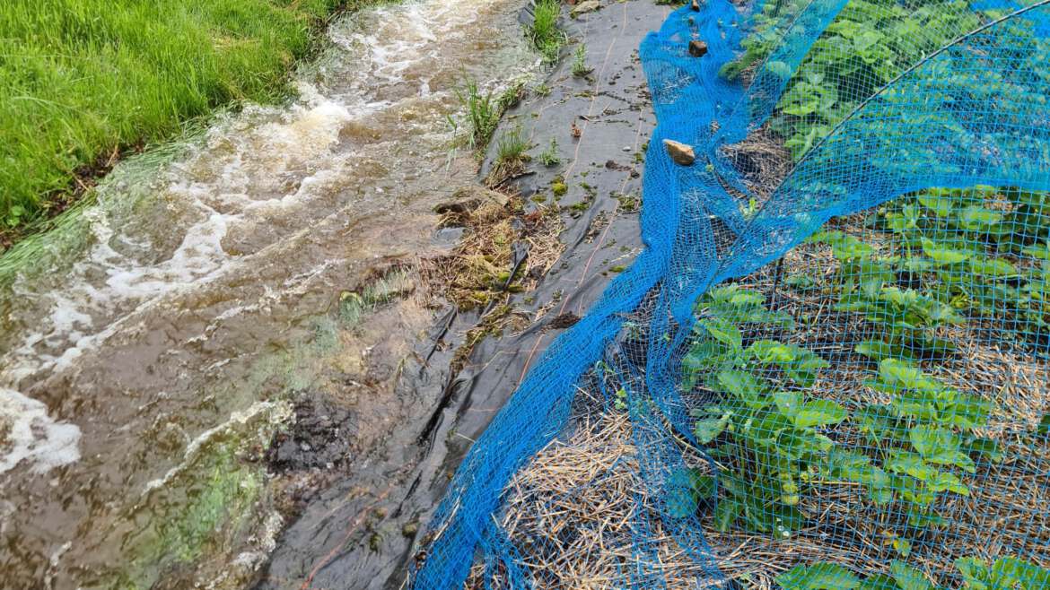 Hochwasser und Gartenführungen