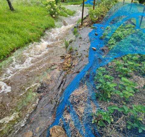 Hochwasser und Gartenführungen